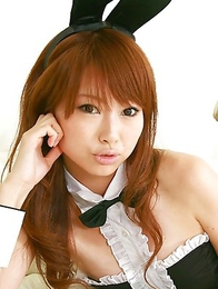 Chinatsu Sasaki bunny has sexy legs in fishnet stockings